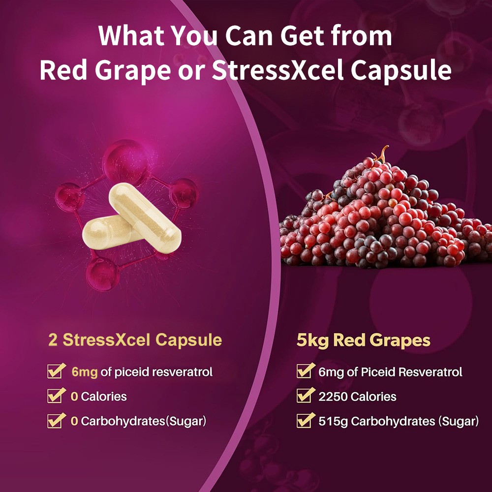 12 Hour Long-Lasting Piceid Resveratrol Supplement Supports Heart Health