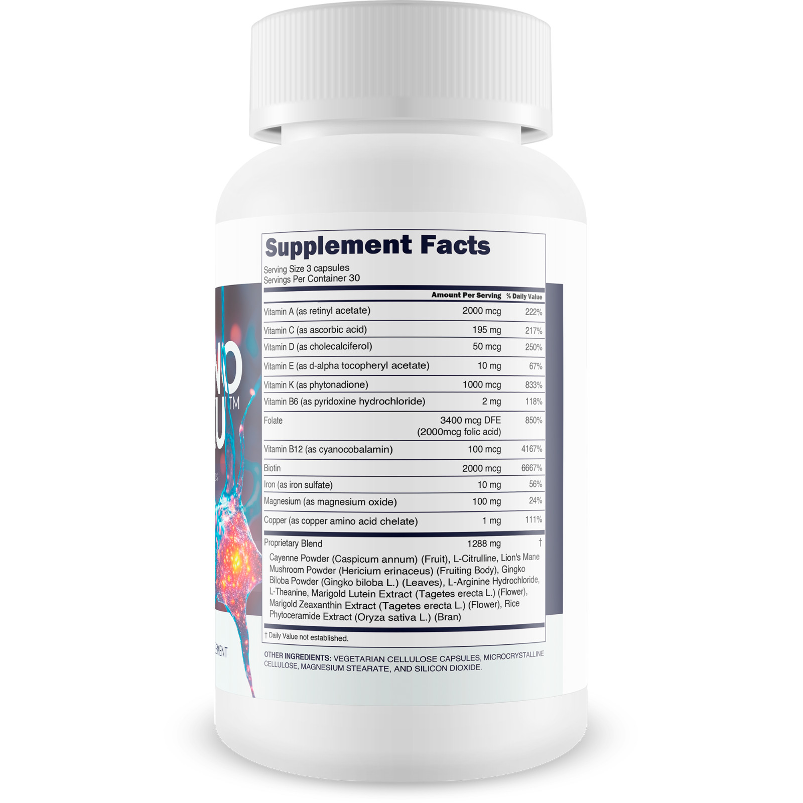 Memory Kioku No Kaifuku – Our Best Brain Supplements for Memory and Focus