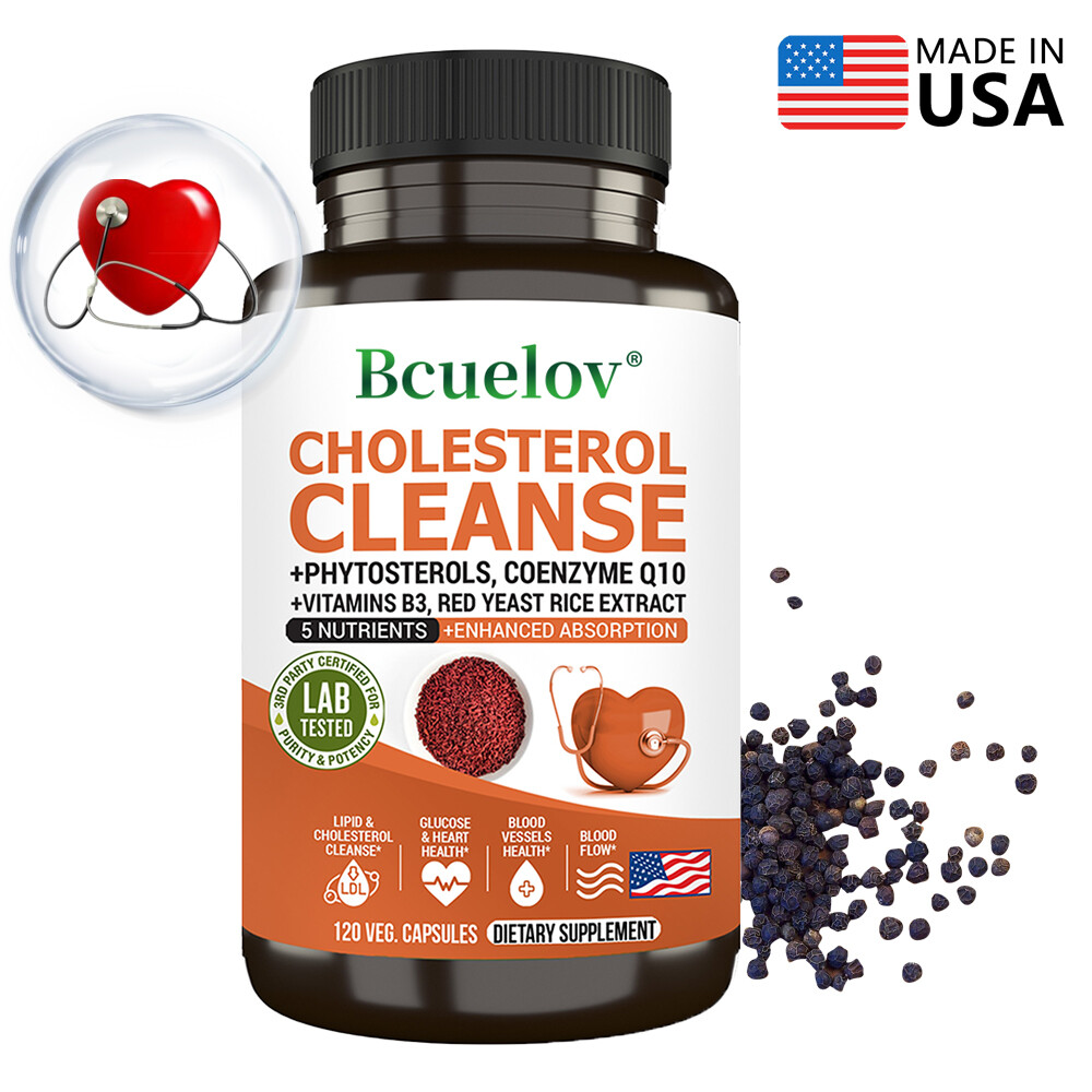 Cholesterol Cleanse – Healthy Heart Blood Vessels Artery Circulation Flow