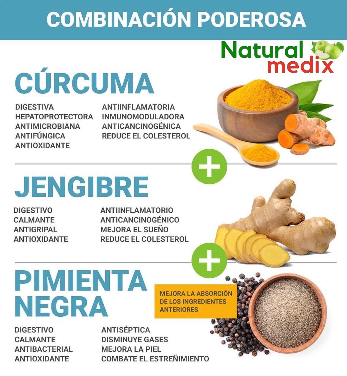 Curcuma Jengibre Pimienta Negra / Turmeric Ginger & Black Peper Premium Natural