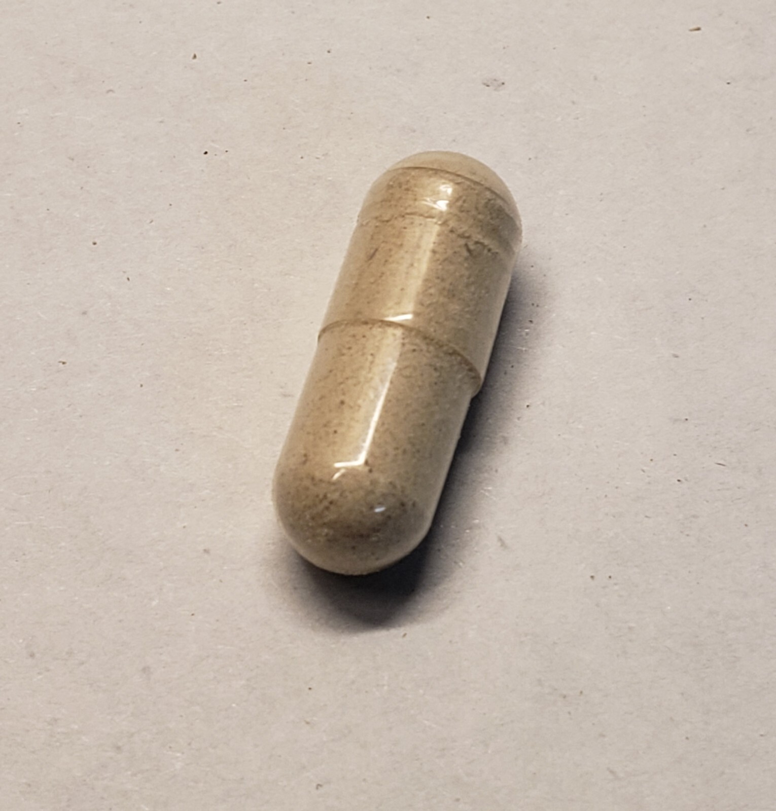 Echinacea Root Capsules 300 Ct – Made Fresh On Demand!