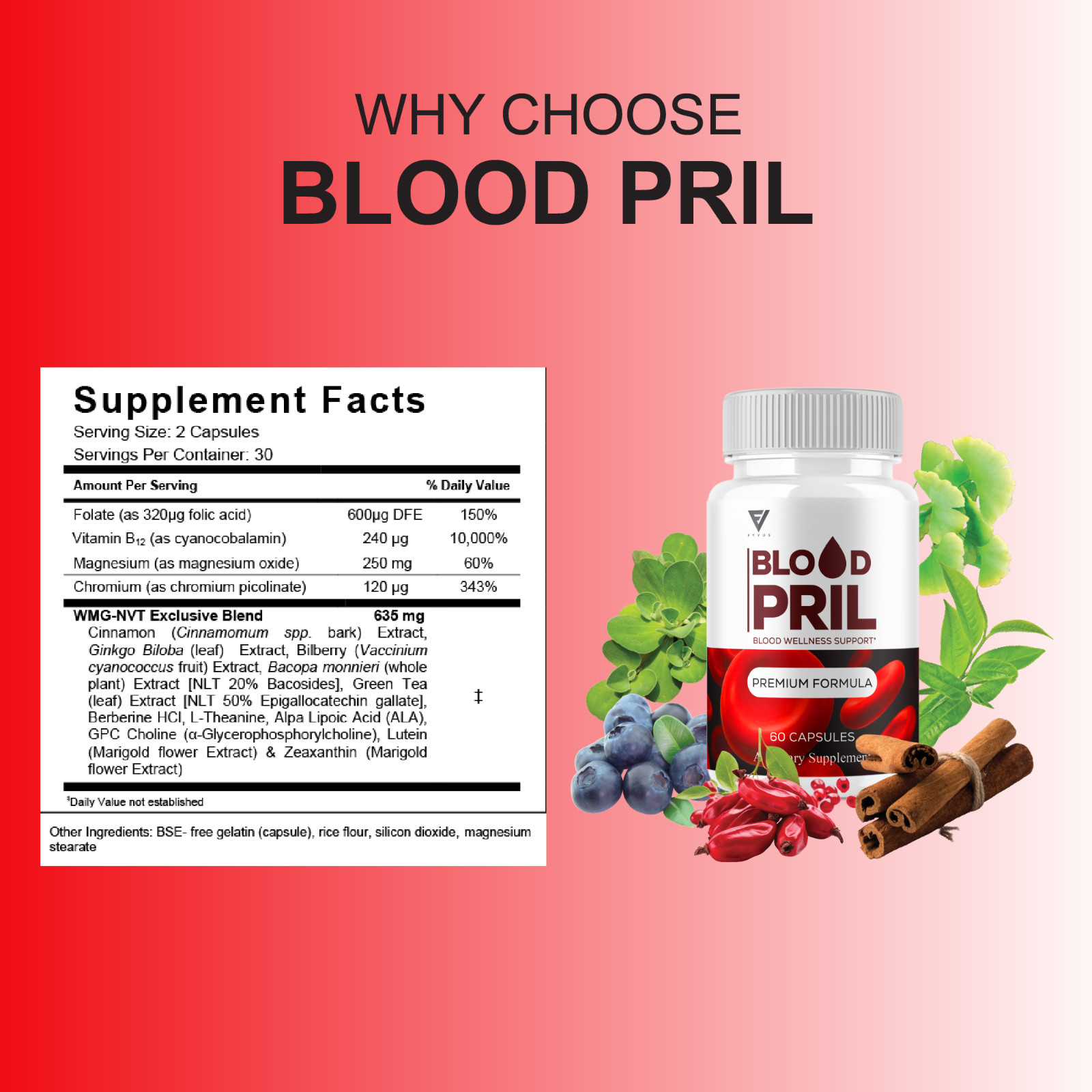 (3 Pack) Blood Pril Blood Health Pills, BloodPril Premium Support (180 Capsules)