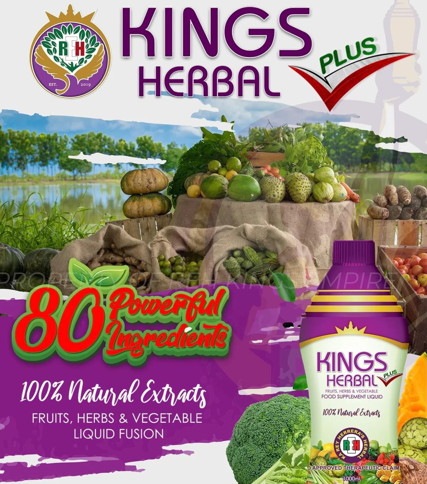KINGS HERBAL PLUS Fruits Vegetables Herb Fusion Supplement 1000 ml ( 1 bottle )