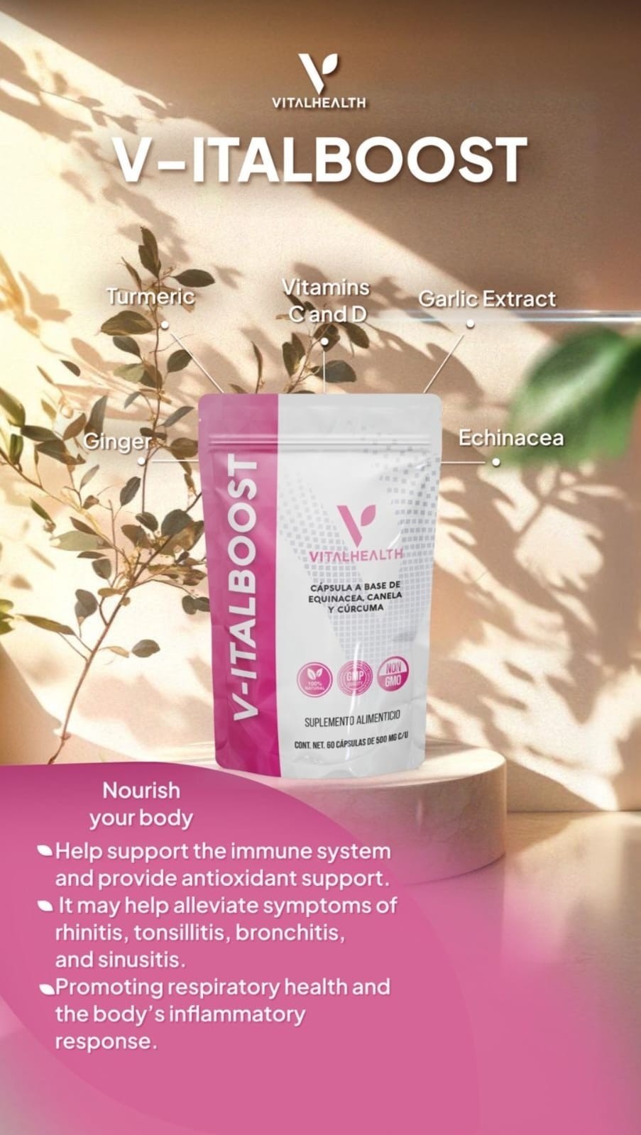 V-italboost 60 Veggie Capsules – Ginger Garlic Vitalhealth Free Shipping