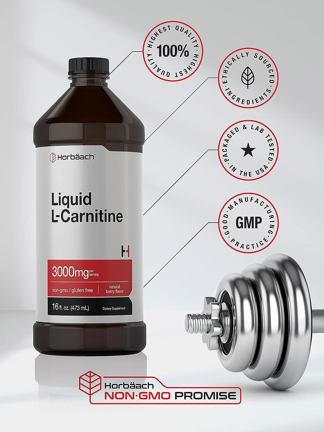 L-Carnitine Liquid 16 oz, 3000mg, Non-GMO Gluten Free Supplement, by Horbaach