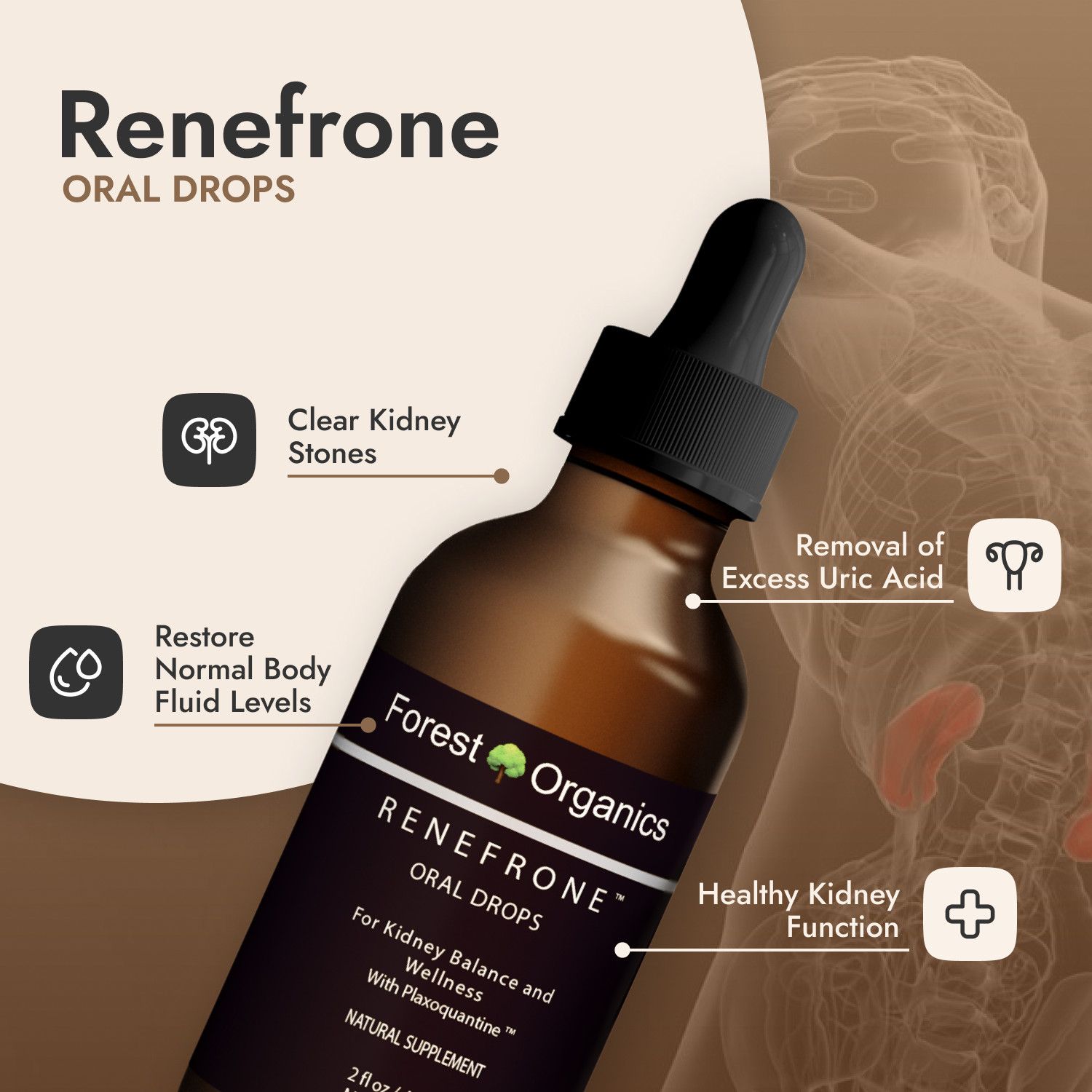 Kidney Support and Urinary Tract Support with 7 Plant Extracts Optimal Kidney