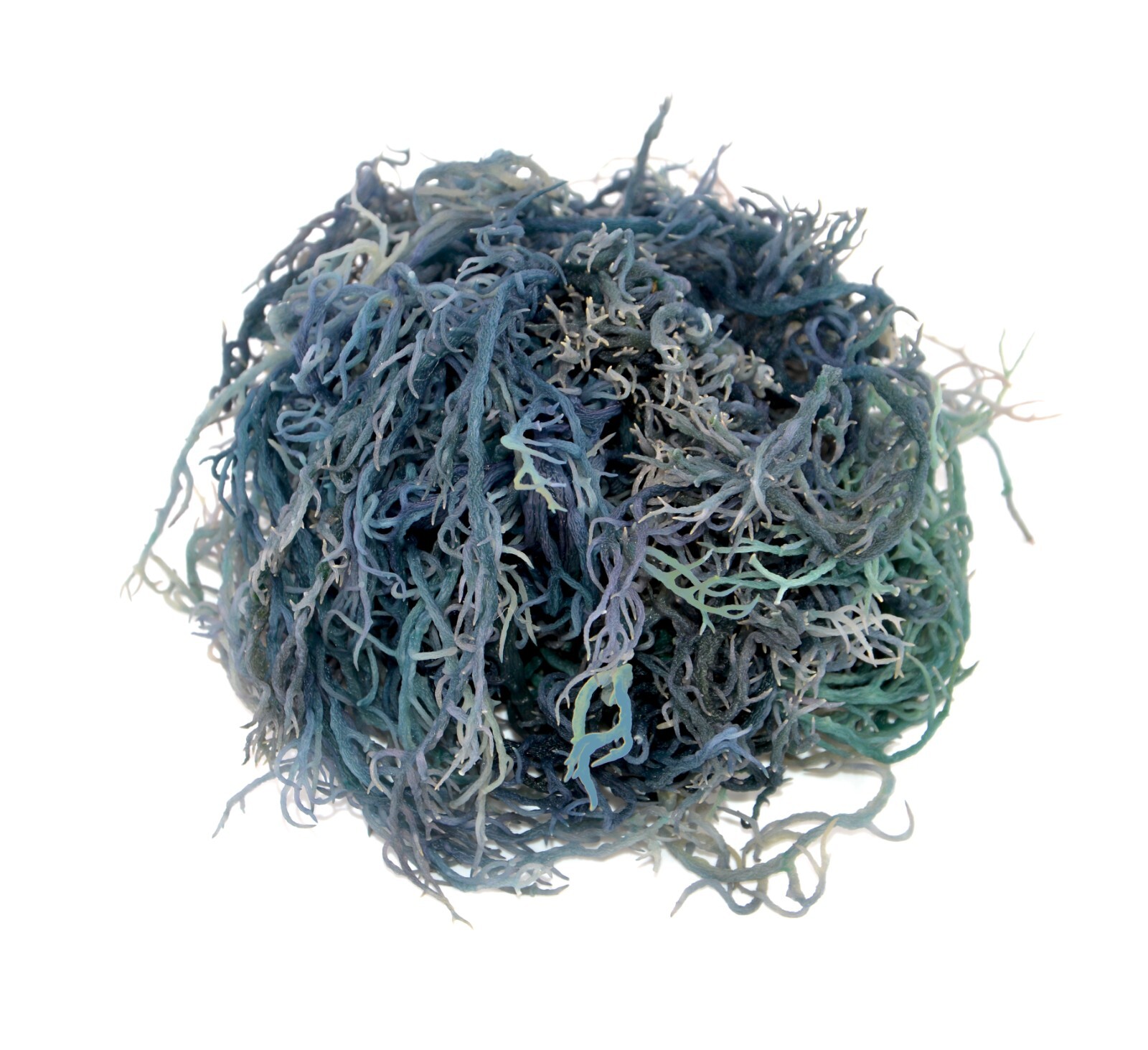Green Sea Moss St Lucia / Dr Sebi Irish Moss Wildcrafted 100% Pure Raw