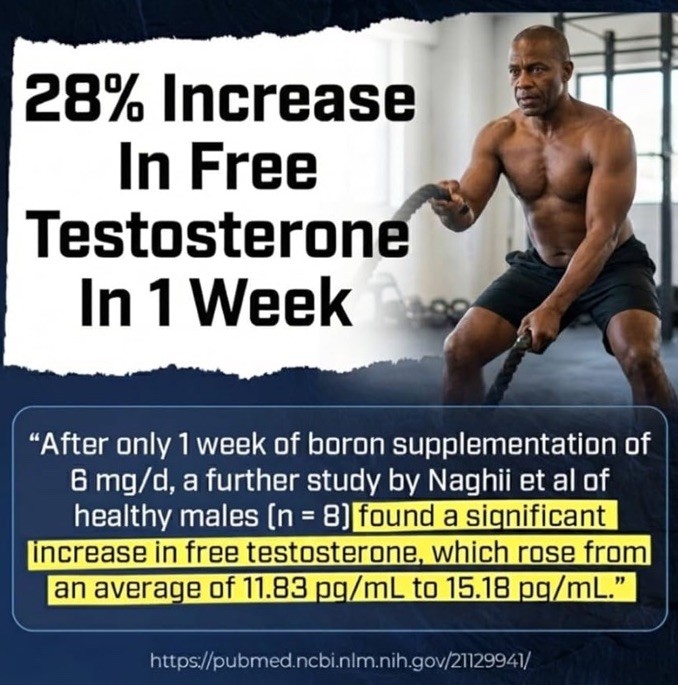 Sheer Strength Labs – Sheer Alpha Testosterone Booster (90 Capsules)