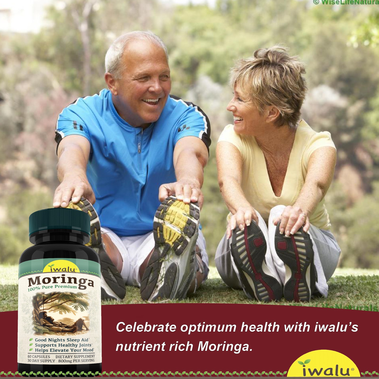 Suplementos Para La Presión Arterial – Mantén Tu Corazón Saludable, Moringa