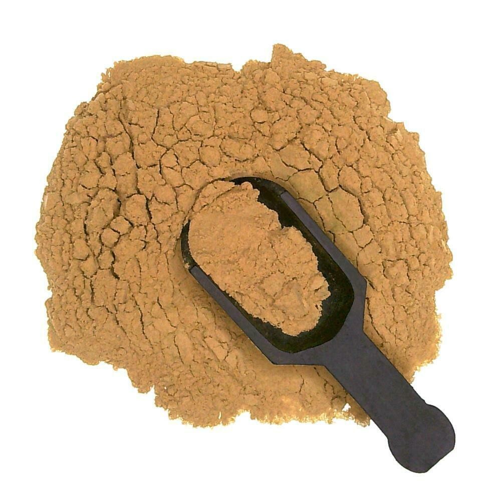 Elderberry Extract Powder Free Shipping