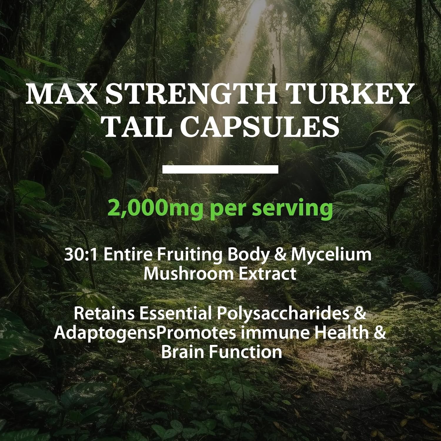 Liposomal Turkey Tail Organic Mushroom Extract Capsules 90 Caps 2000mg- 06/2027