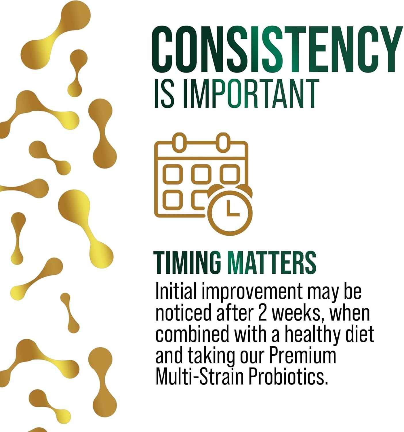 Probiotics for Women’s Digestive Health – 100 Billion CFU, 16 Strains Prebiotics