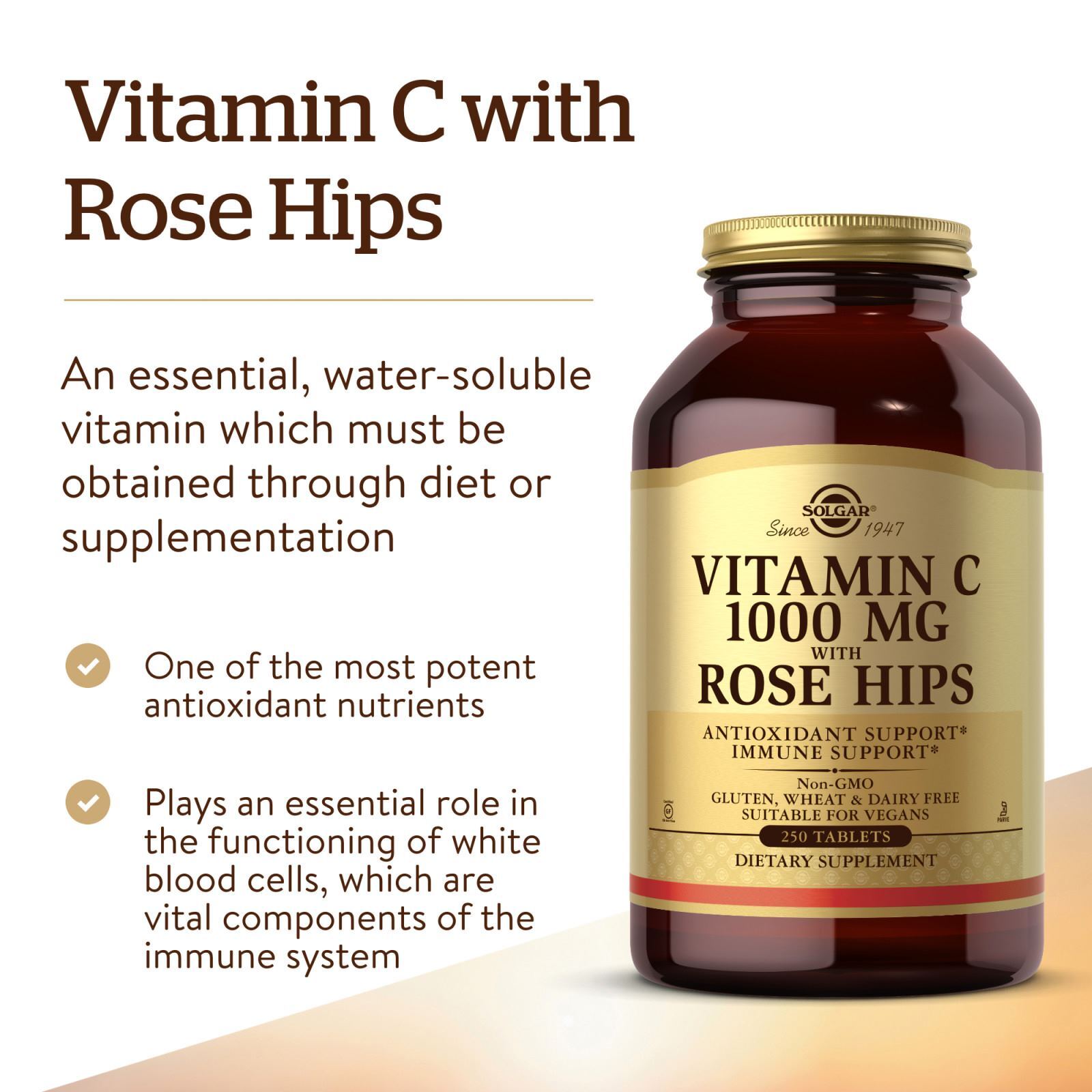 Solgar Vitamin C 1000 mg with Rose Hips 250 Tablets, Immune Support