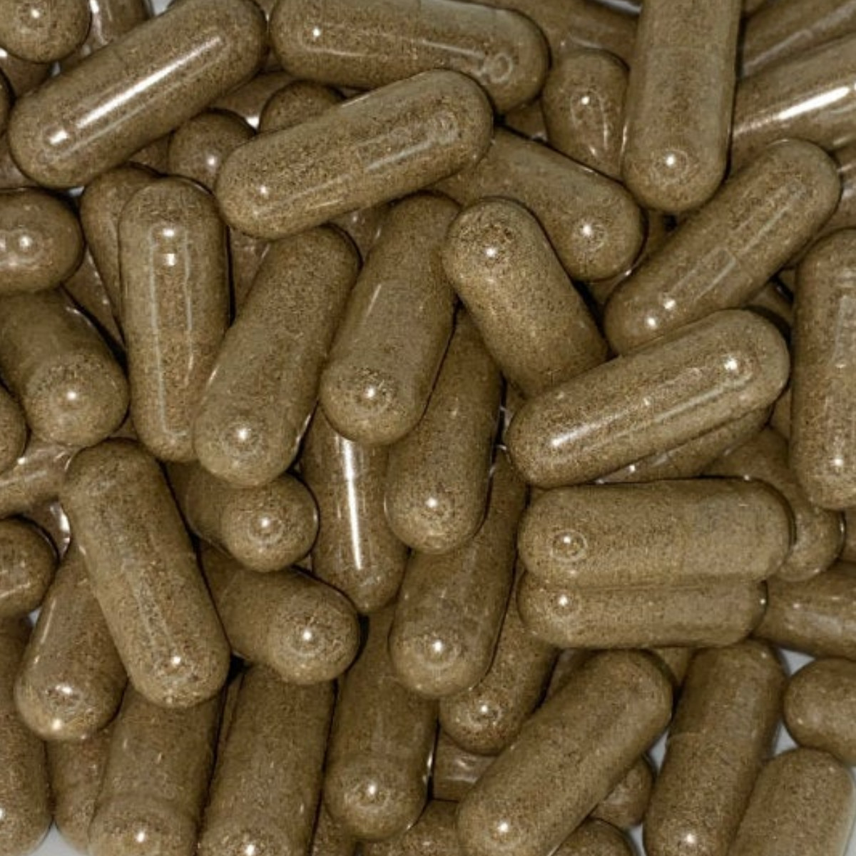 Pure Wormwood – Wild Crafted – Organic Worm Wood – Vegan – 100 Veggie Caps