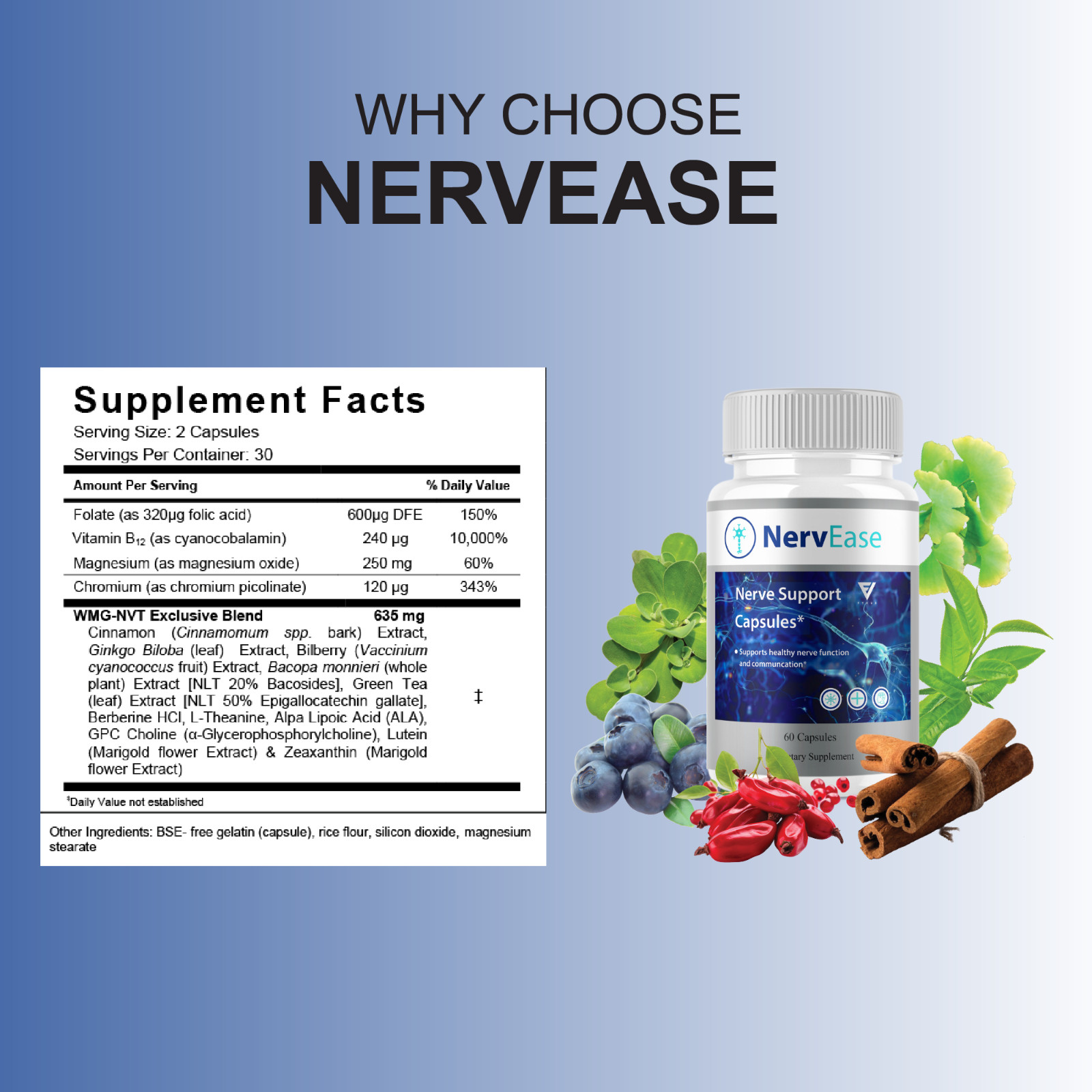 (2 Pack) Nerv Ease Pills, NervEase Premium Nootropic Supplement (120 Capsules)