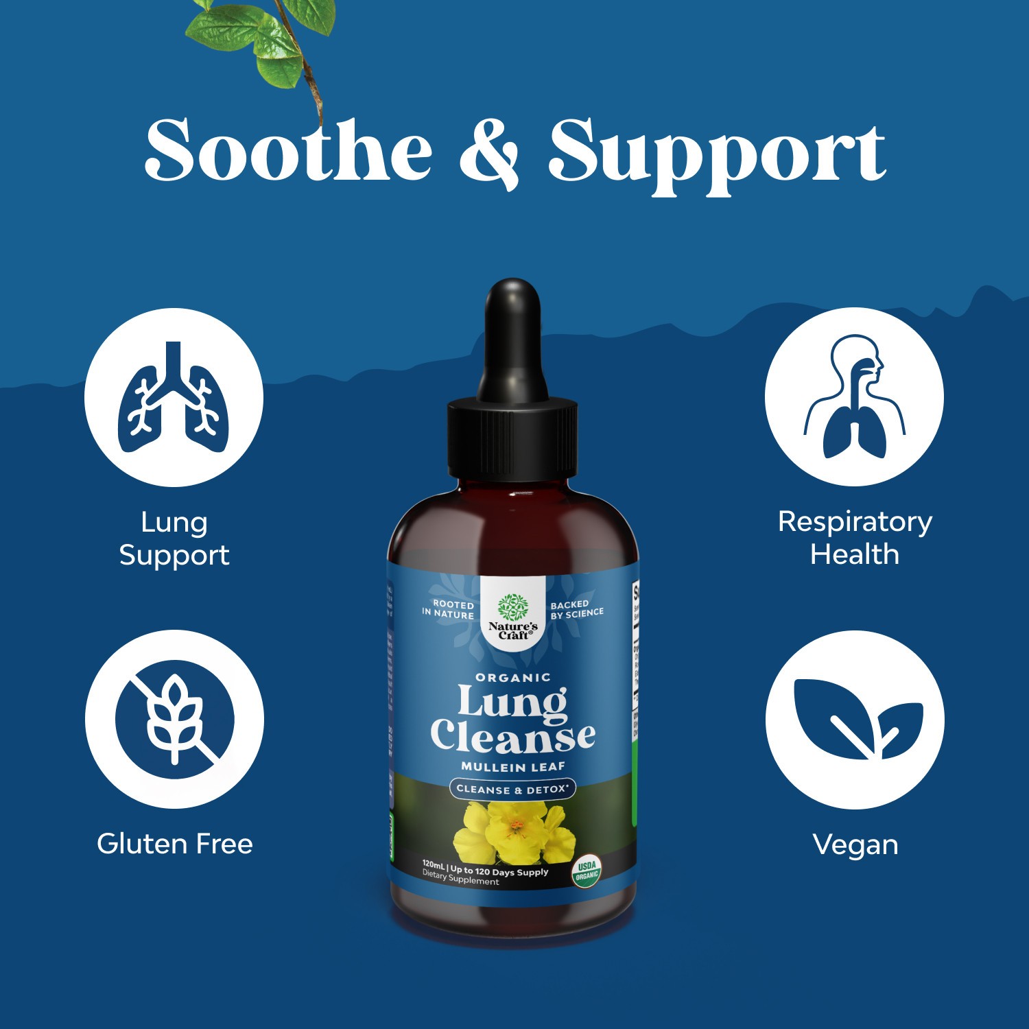USDA Organic Mullein Leaf Drops – Herbal Lung Detox and Cleanse Marshmallow Root
