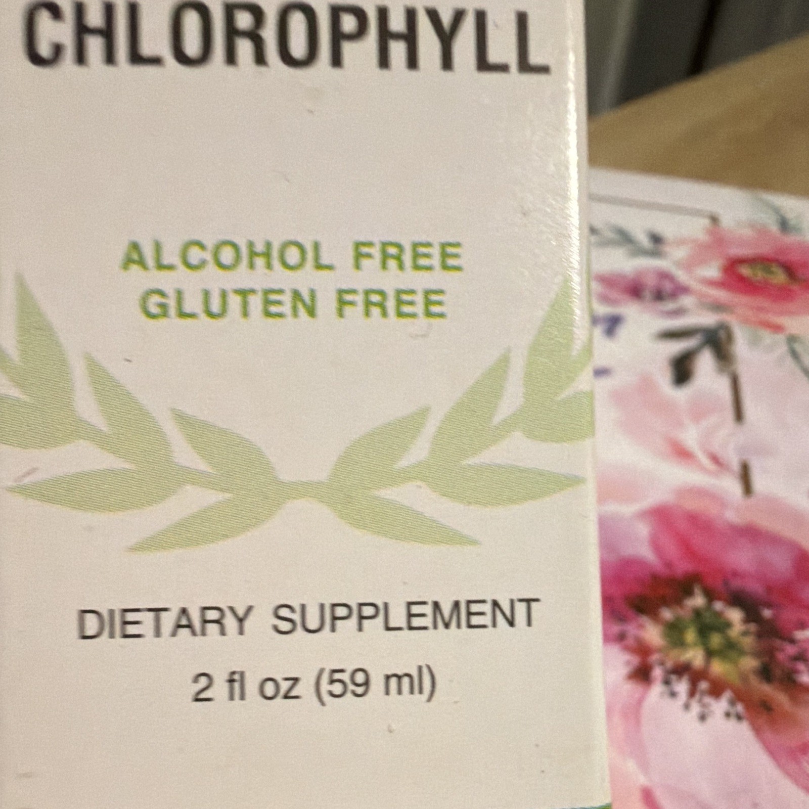 Benevolent Nourishment Liquid Chlorophyll Mint Alcohol Free 2 fl oz Exp 09/2027