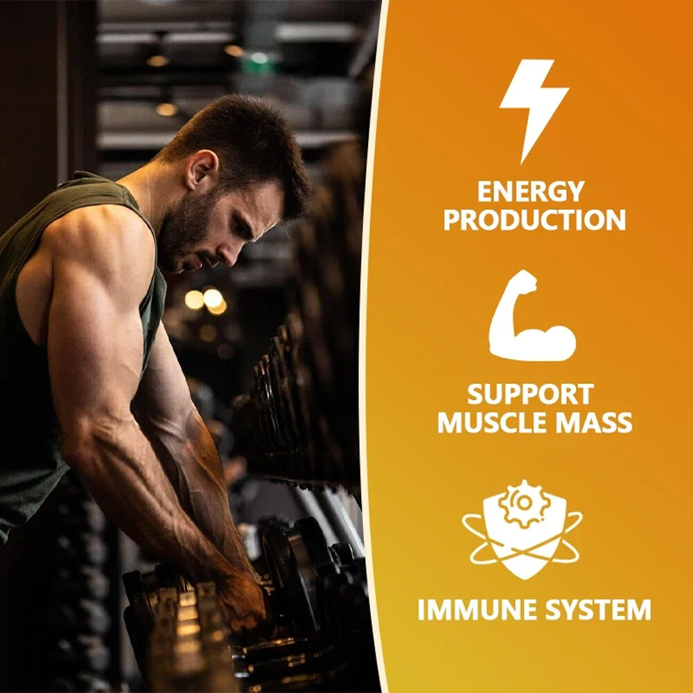 Creatine 3000 Muscle Builder+Natural Testosterone Booster+Fadogia Agrestis