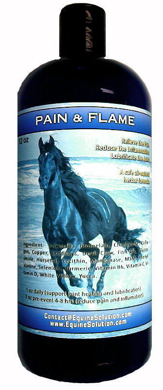 PAIN & FLAME – Reduce pain & inflammation (32oz Oral Liquid for Horses)