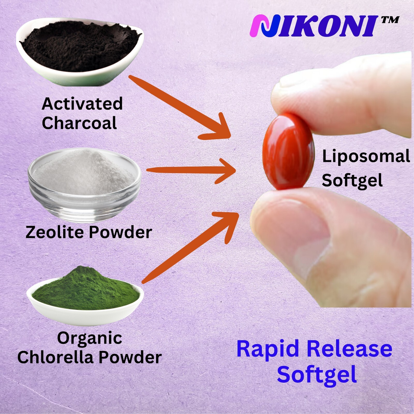 Nikoni Liposomal Zeolite, Charcoal & Organic Chlorella, Healthy Liver, Full Body