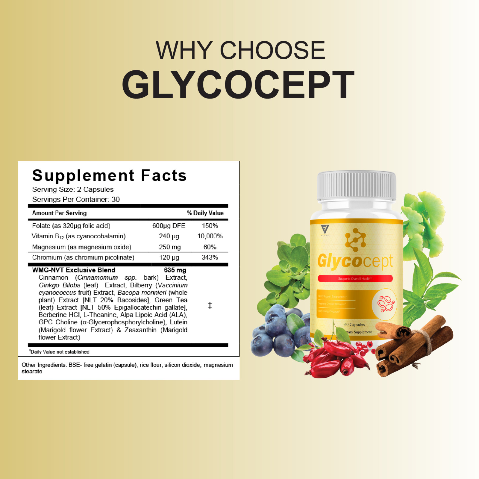 (3 Pack) Glycocept Blood Support, Glycocept Advanced Formula (180 Capsules)