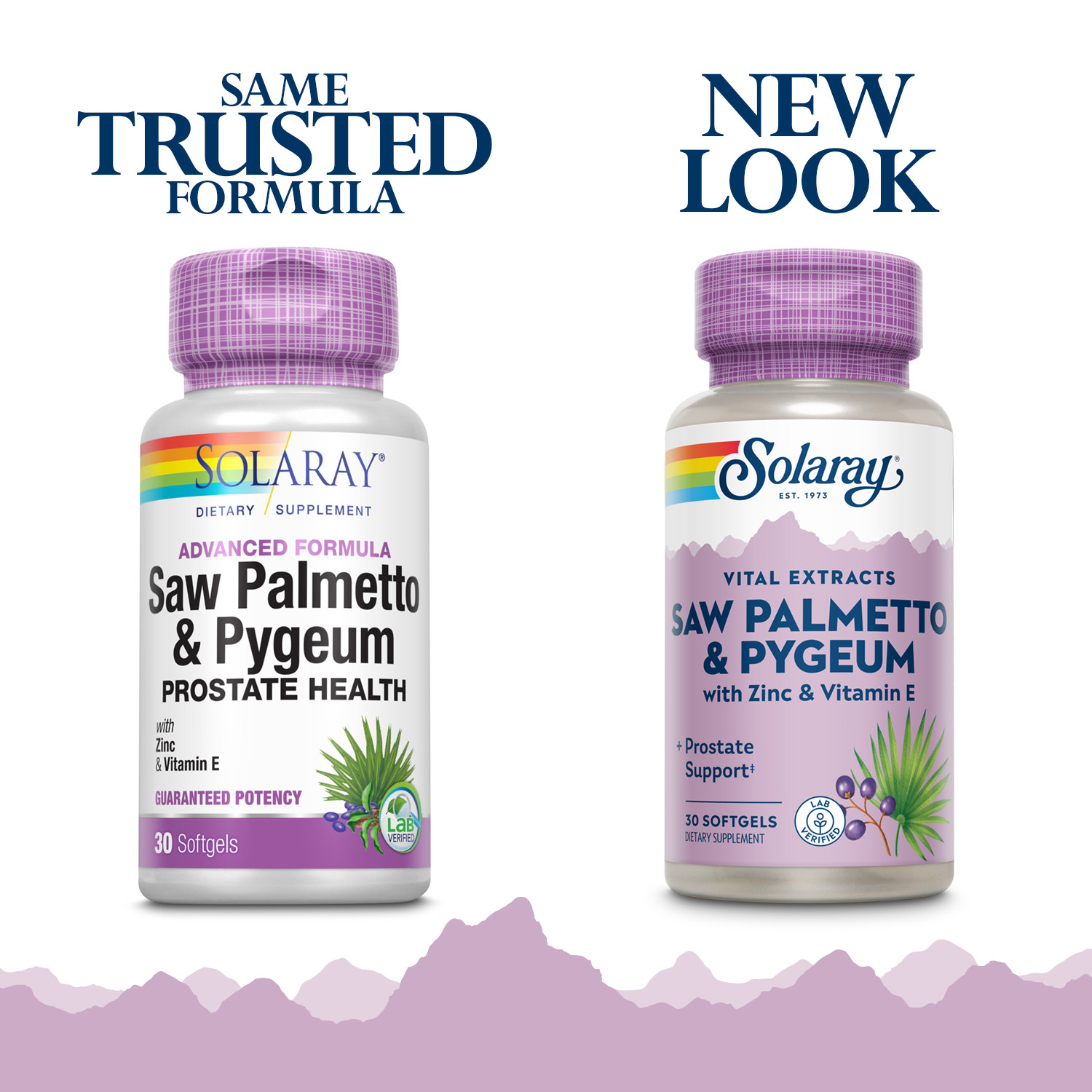 Solaray Saw Palmetto & Pygeum | Once Daily Prostate & Urinary Health | 30 CT