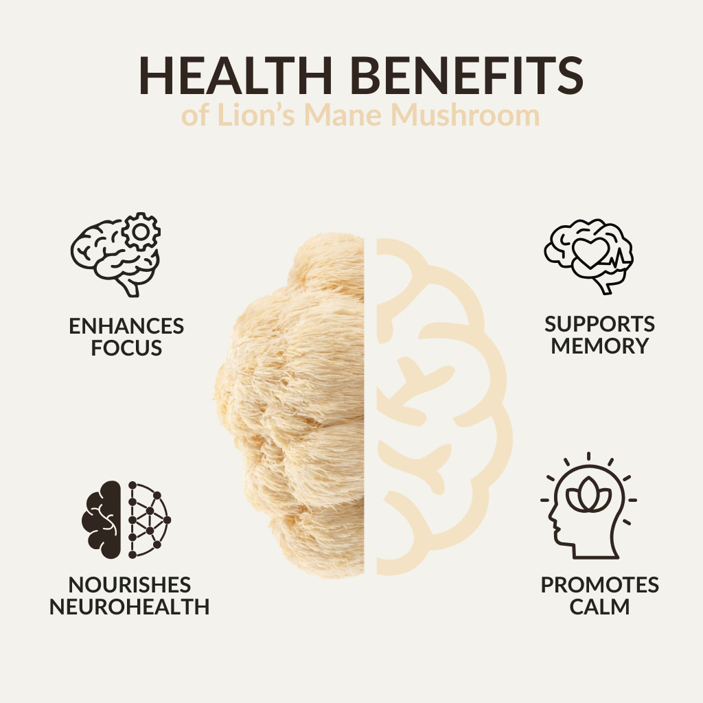 Aromavita Lion’s Mane Mushroom Extra Strength 5200mg per Serving -Mental clarity