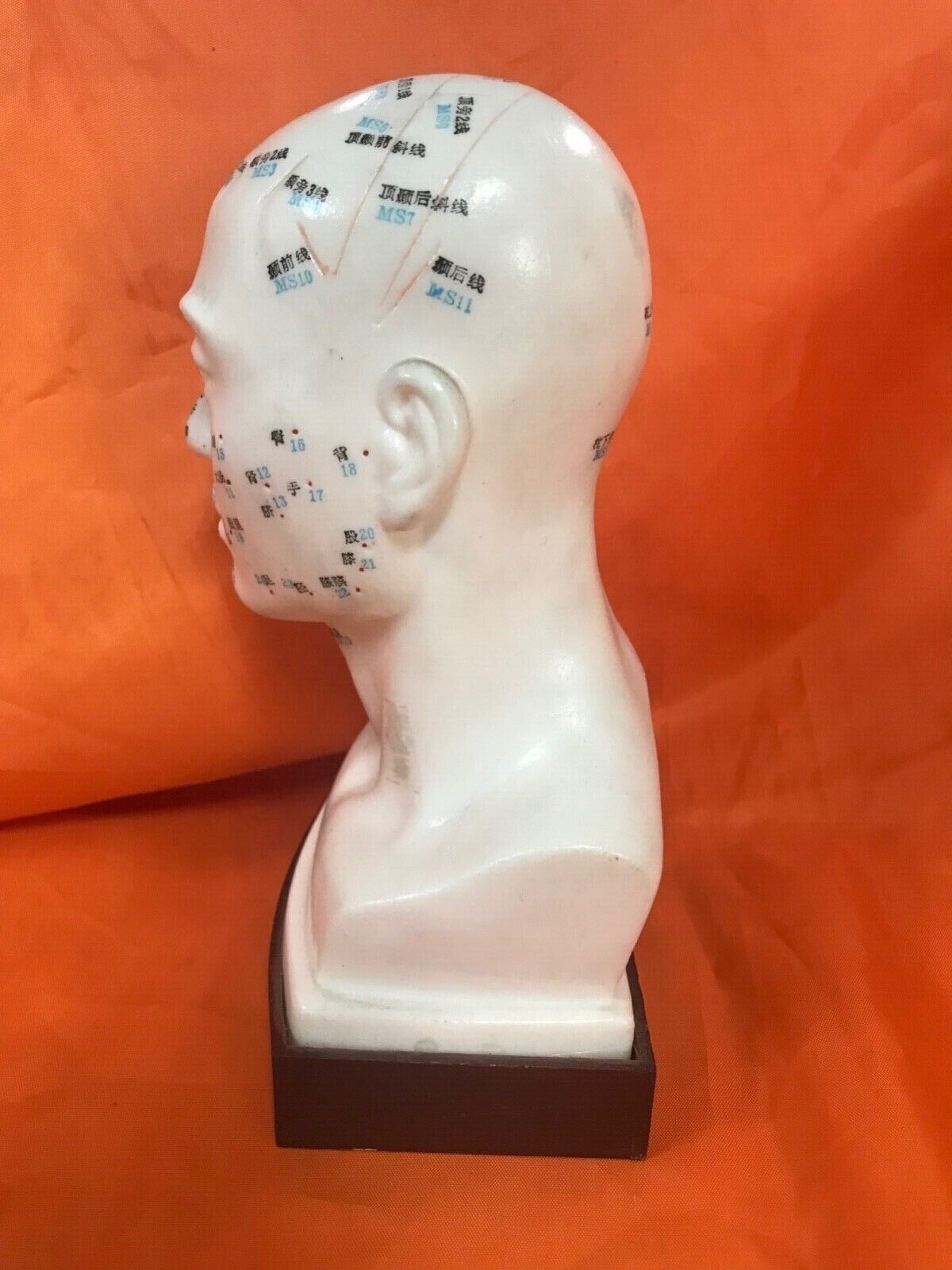 Man Acupuncture Model/男士头模(1 pcs/box)