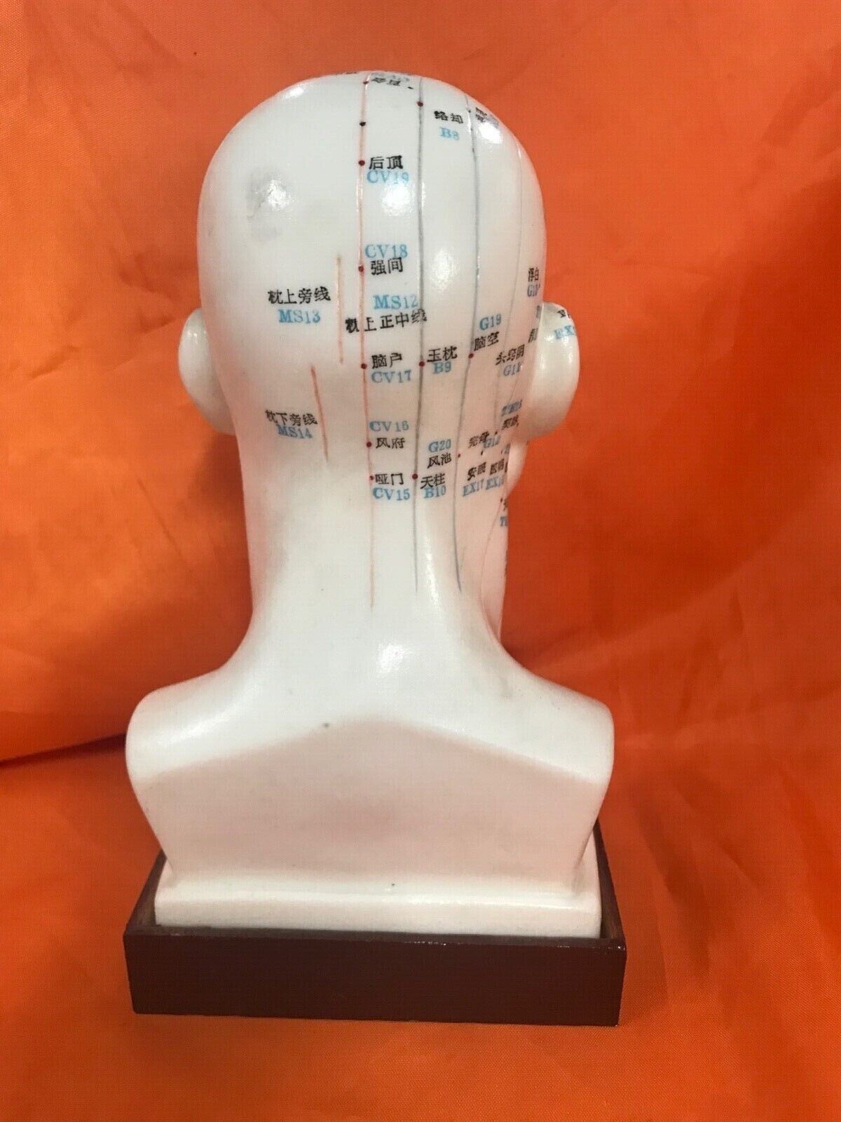 Man Acupuncture Model/男士头模(1 pcs/box)
