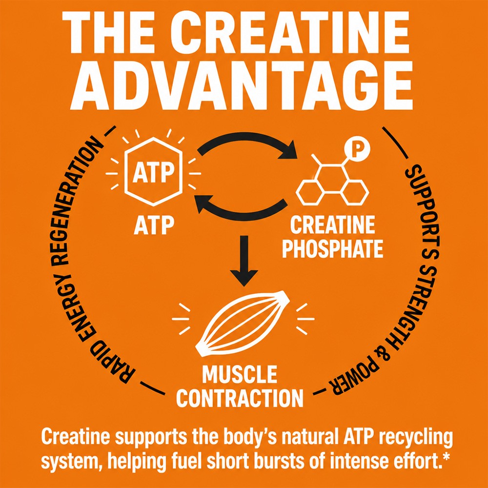 Creatine Monohydrate Gummies 5000mg Muscle Recovery Energy 60 Count