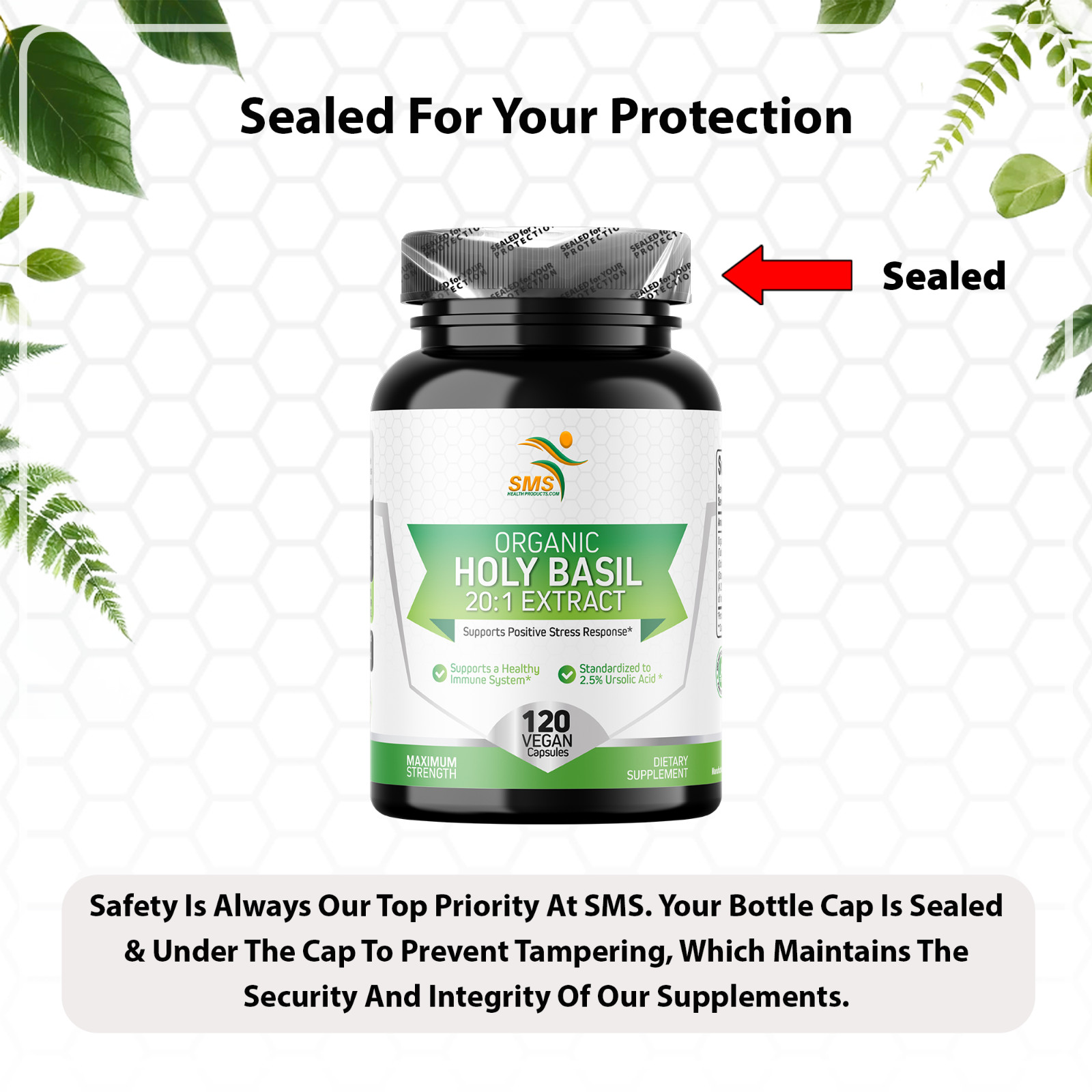 Organic Holy Basil 20:1 Extract 2.5% Ursolic Acid (120 Veg Capsules) Made In USA