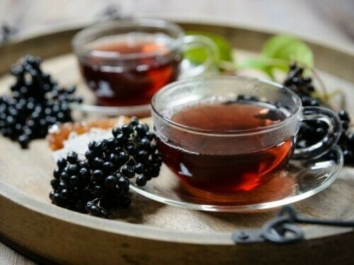 Elderberry Extract Powder Free Shipping