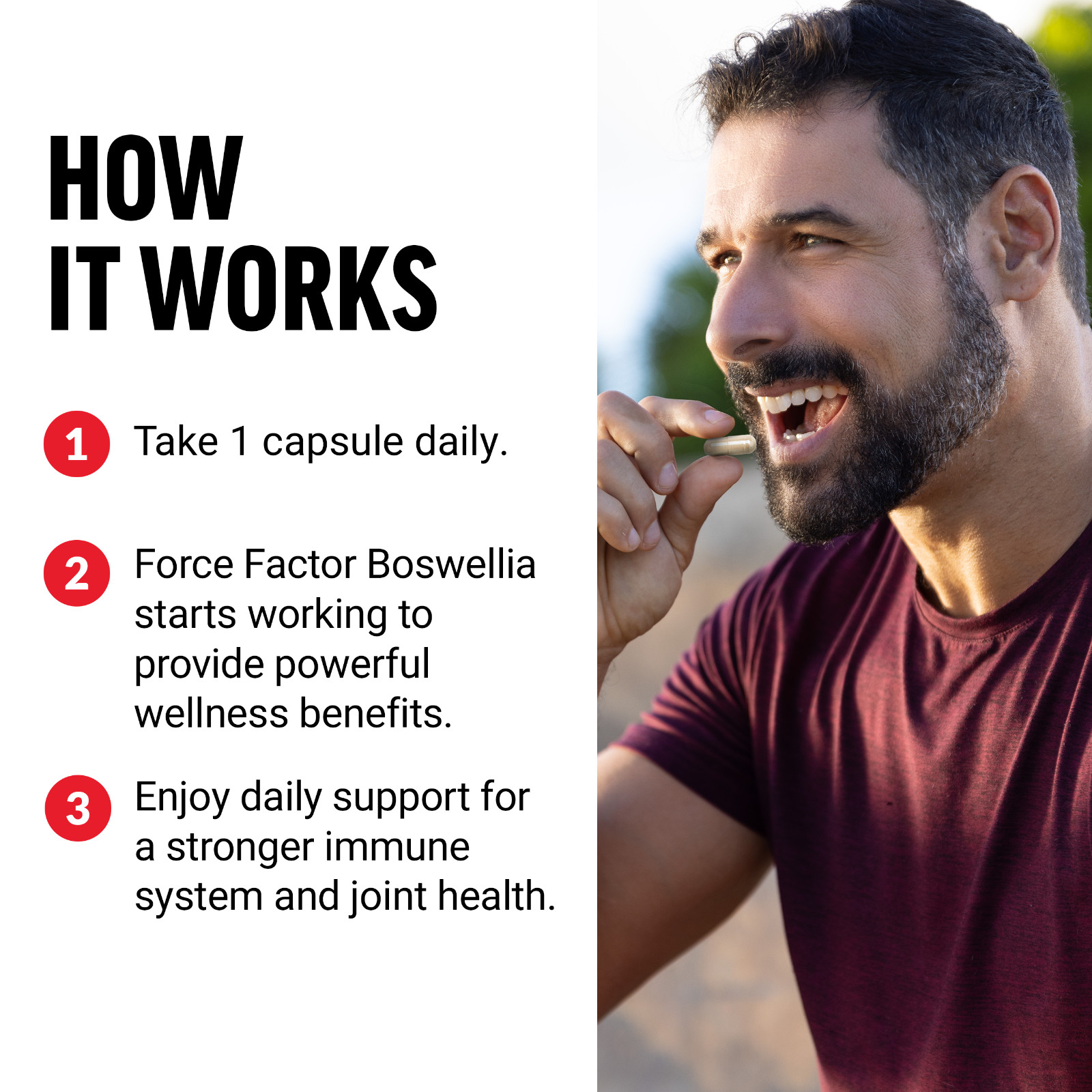 Force Factor Boswellia Extract 500mg, Inflammation Support Supplement, 120ct