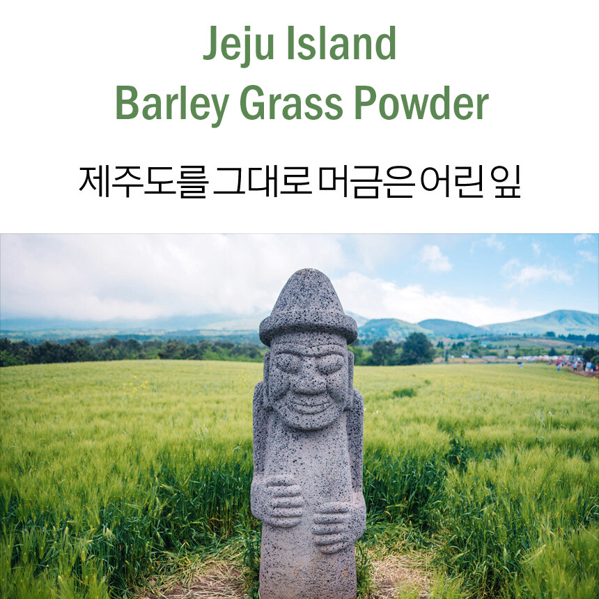 Korea Jeju Island Barley Grass Powder Juice Tea Detox 5.3oz/150g 제주 무농약 새싹보리가루