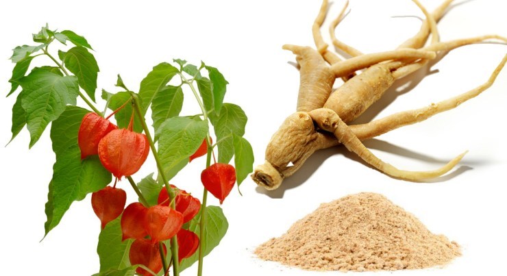 energy pills – ASHWAGANDHA ROOT COMPLEX 770mg – antidepressant – 3 Bottles