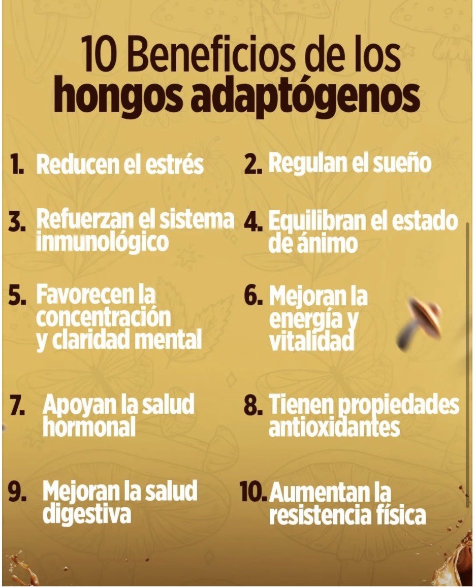 LatteKafe – VitalHealth ( 10 Hongos, MCT + = Concentracion, Claridad, Energia)