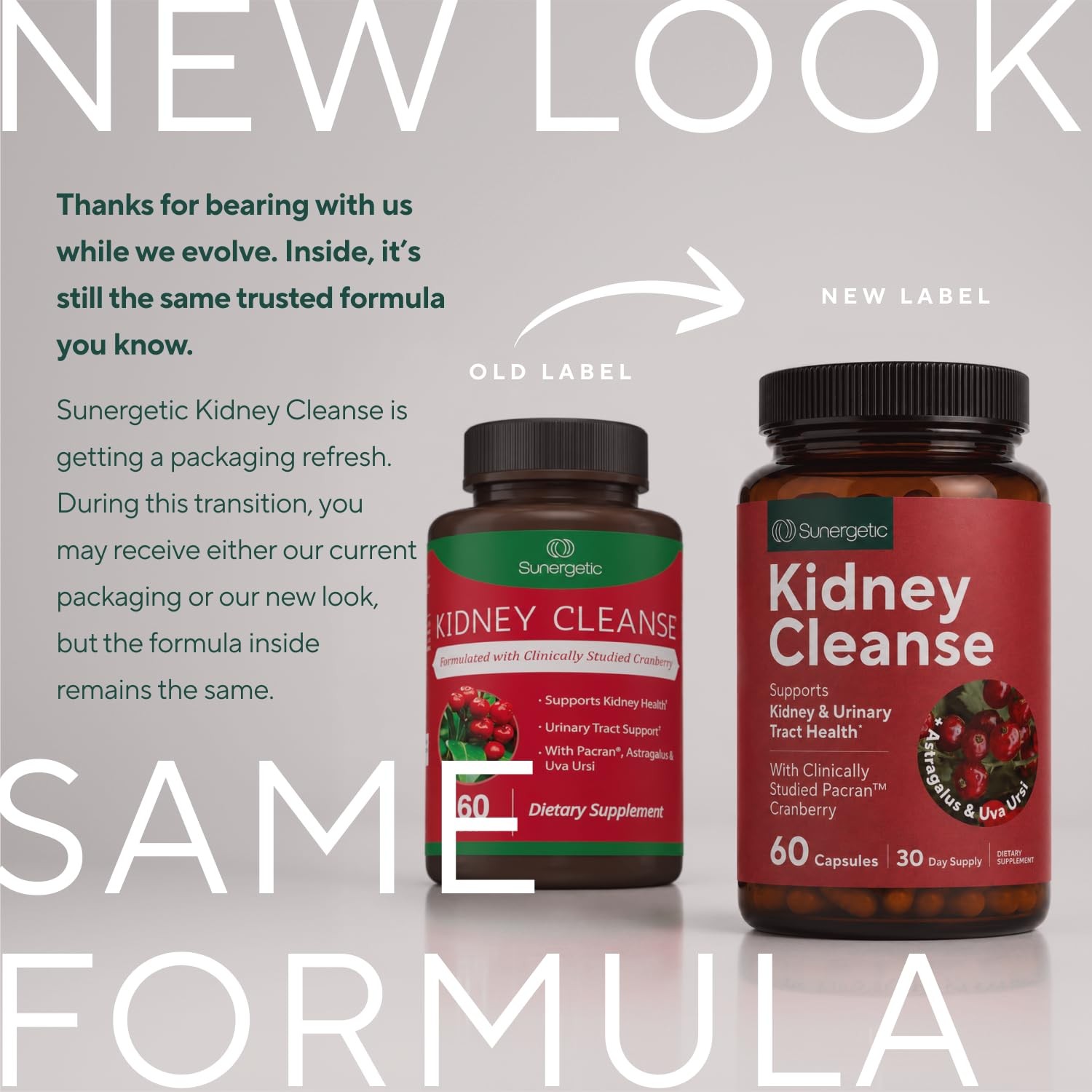 Premium Kidney Cleanse Supplement – Powerful 60 Count (Pack of 1)
