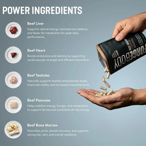 FORGEBODY Beef Organ Complex 60 Capsules – Grass Fed Beef Organ Supplement