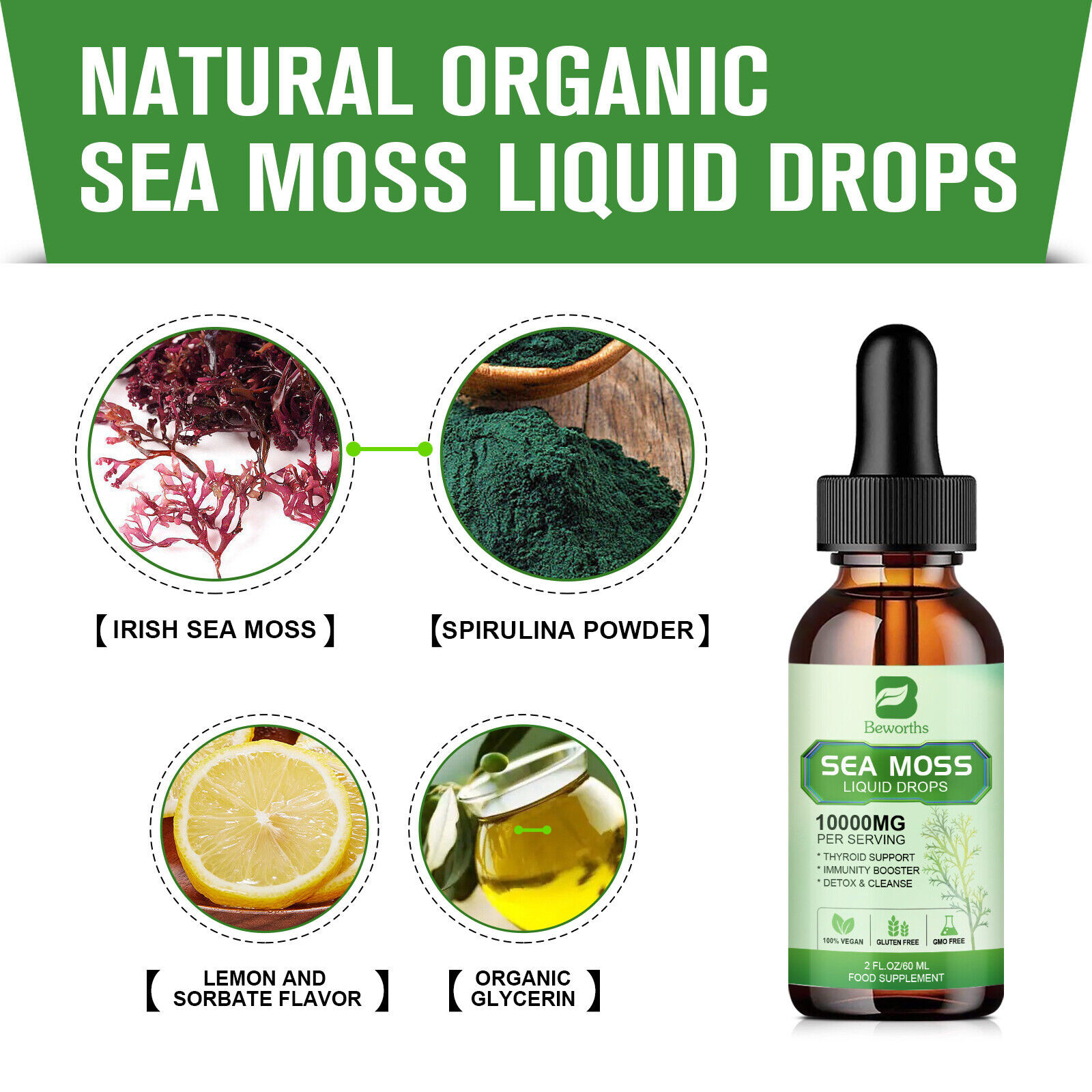 Sea Moss Liquid Drops +Black Elderberry Extract Immune Joint Digestion Support