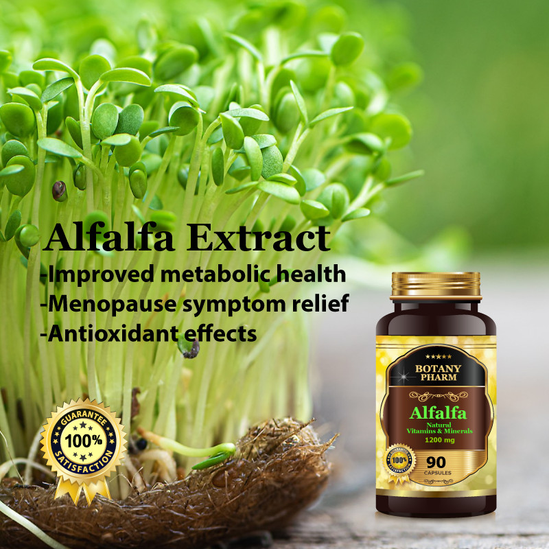 Alfalfa Extract, Vitamins, Minerals, Chlorophyll Antioxidant Green Superfood