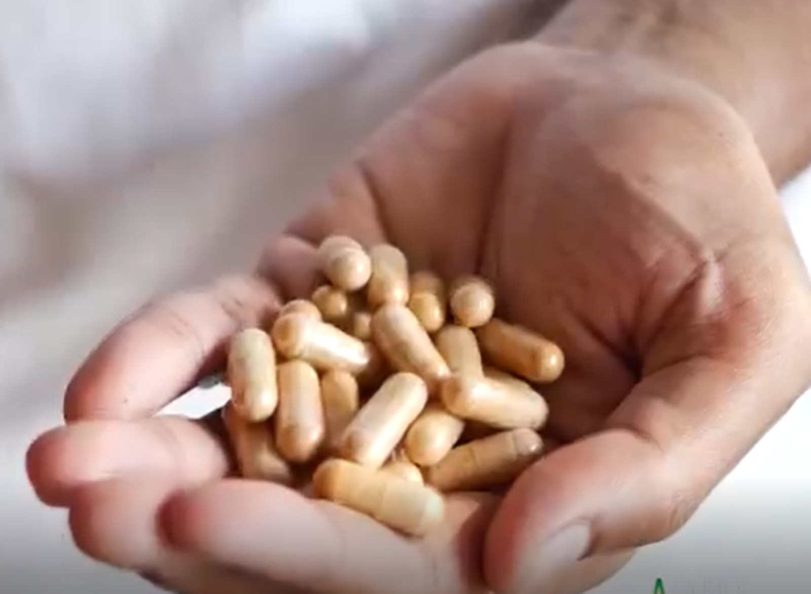 Pumpkin Seed Powder 400 mg x 90 Capsules | Dietary Supplement Made In Sri Lanka