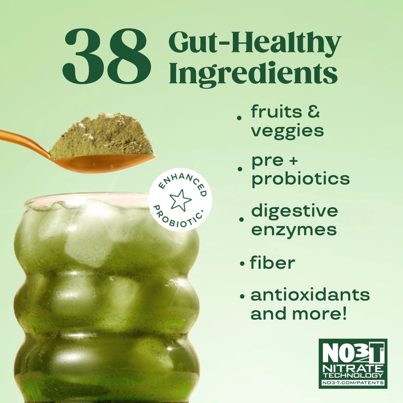 Bloom Greens & Superfoods Powder Strawberry Kiwi 48 Servings DairyFree Exp 09/26