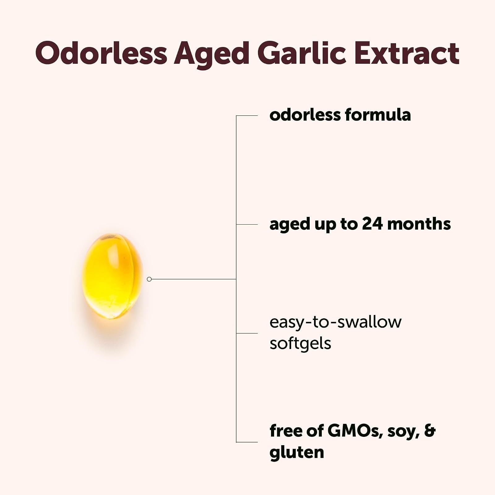 Micro Ingredients Odorless Garlic 300 Softgels | Aged Garlic Extract