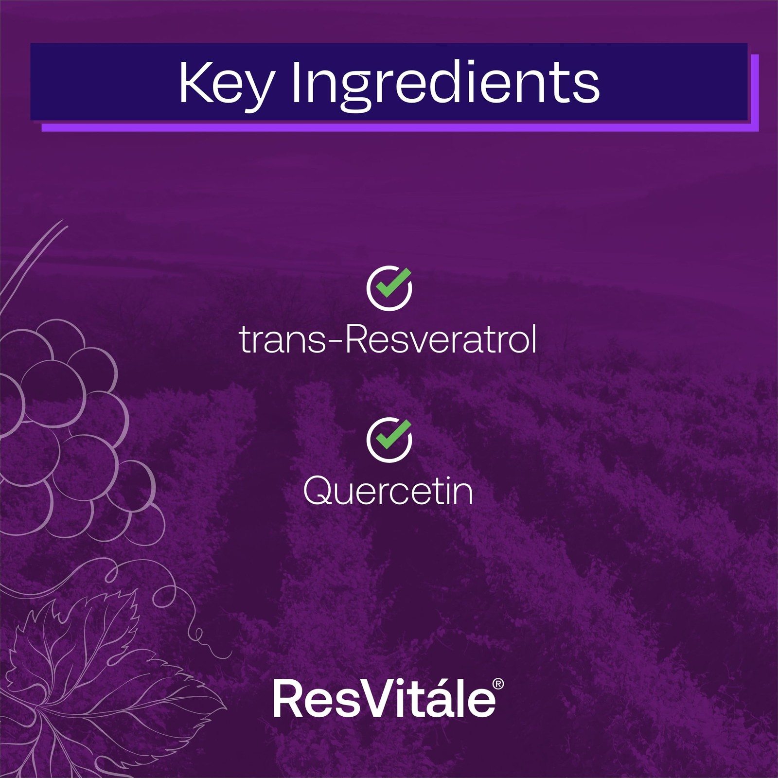 ResVitale Resveratrol 500mg – Antioxidant Supplement, 60 Vegetarian Capsules