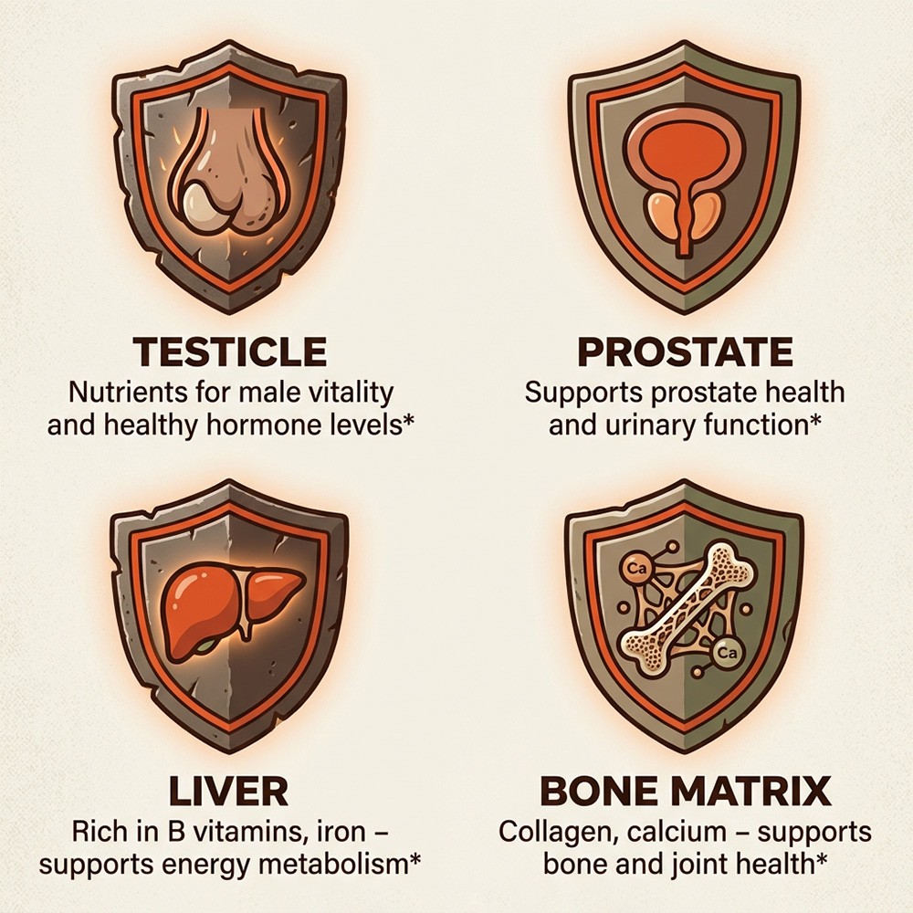 GrassFed Beef Organs Capsules-Support for Male Vitality,Prostate&Hormone Balance