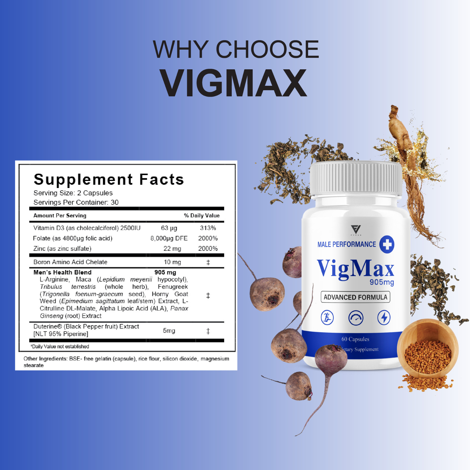 (3 Pack) Vigmax Male Capsules, VigMax Health Support (180 Capsules)