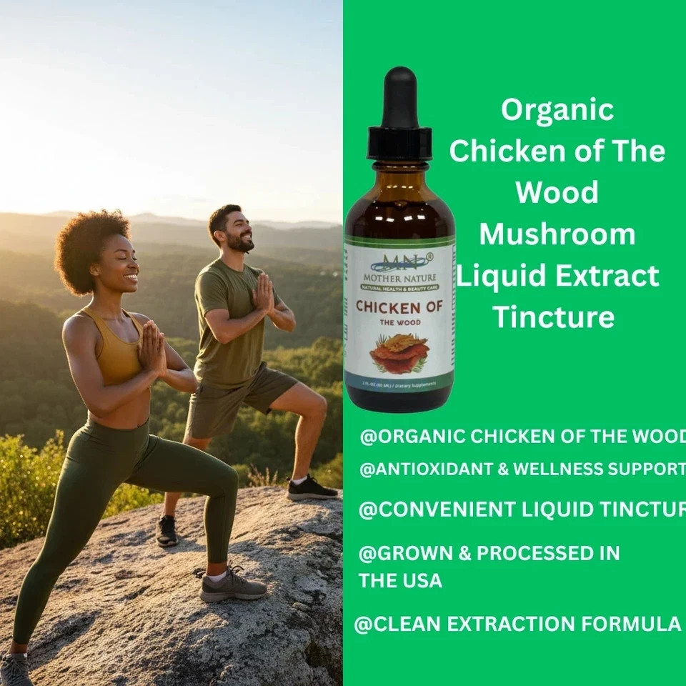 Organic Chicken of the Woods Laetiporus sulphureus Mushroom Extract Liquid Drops