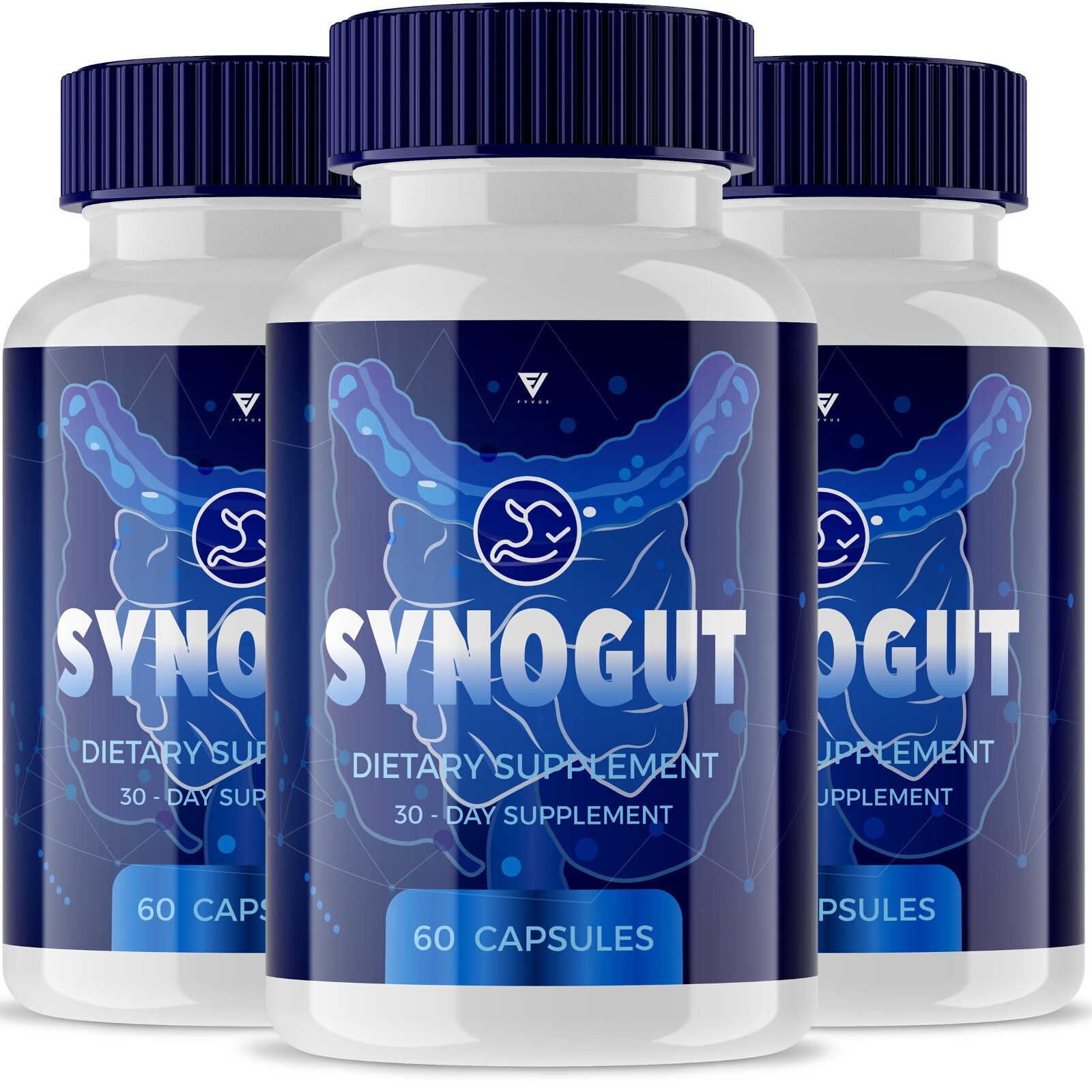 (3 Pack) Synogut Capsules Digestive Gut Support, Synogut Reviews (180 Capsules)