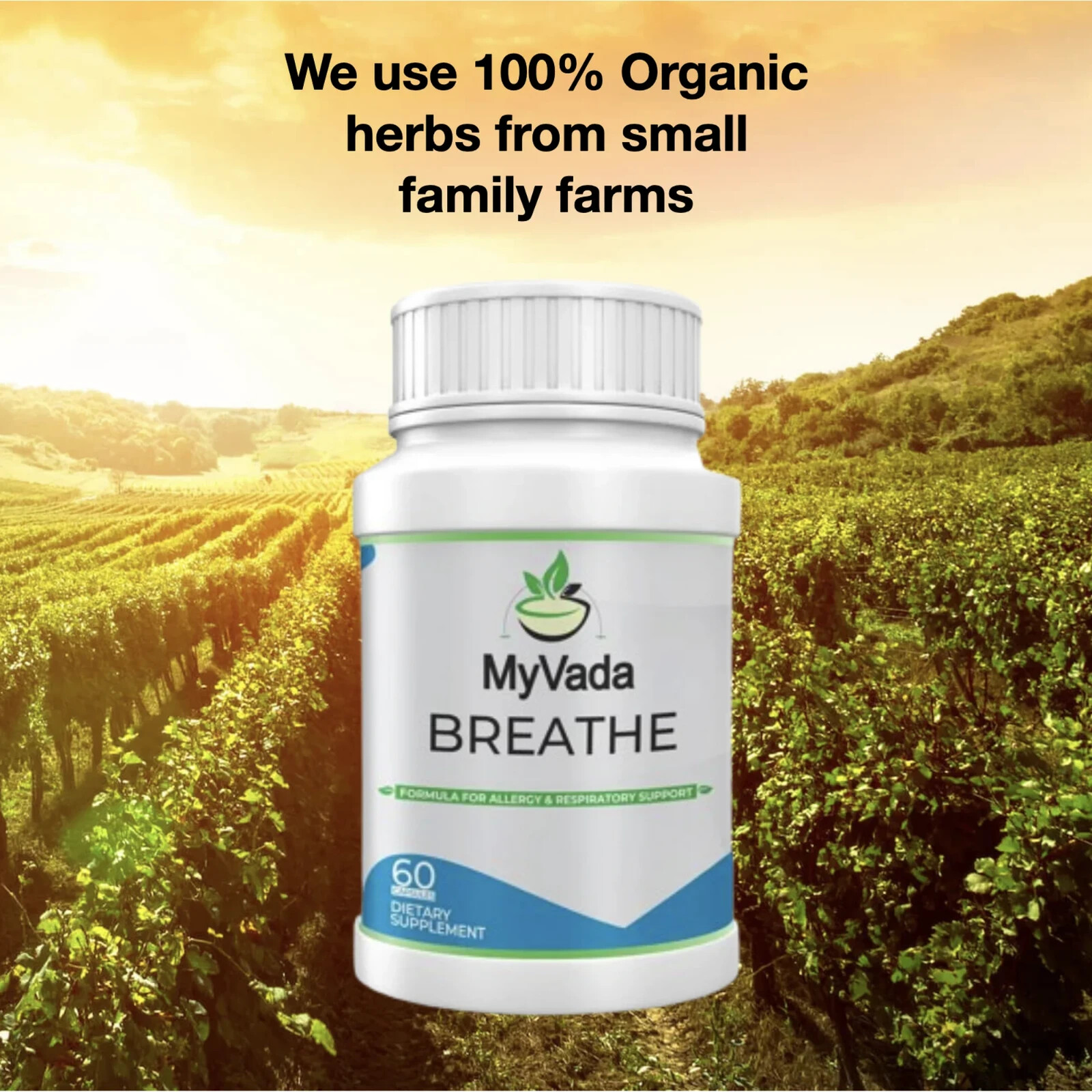 MyVada Breathe – Ayurvedic Herbal Organic Respiratory Support Supplement