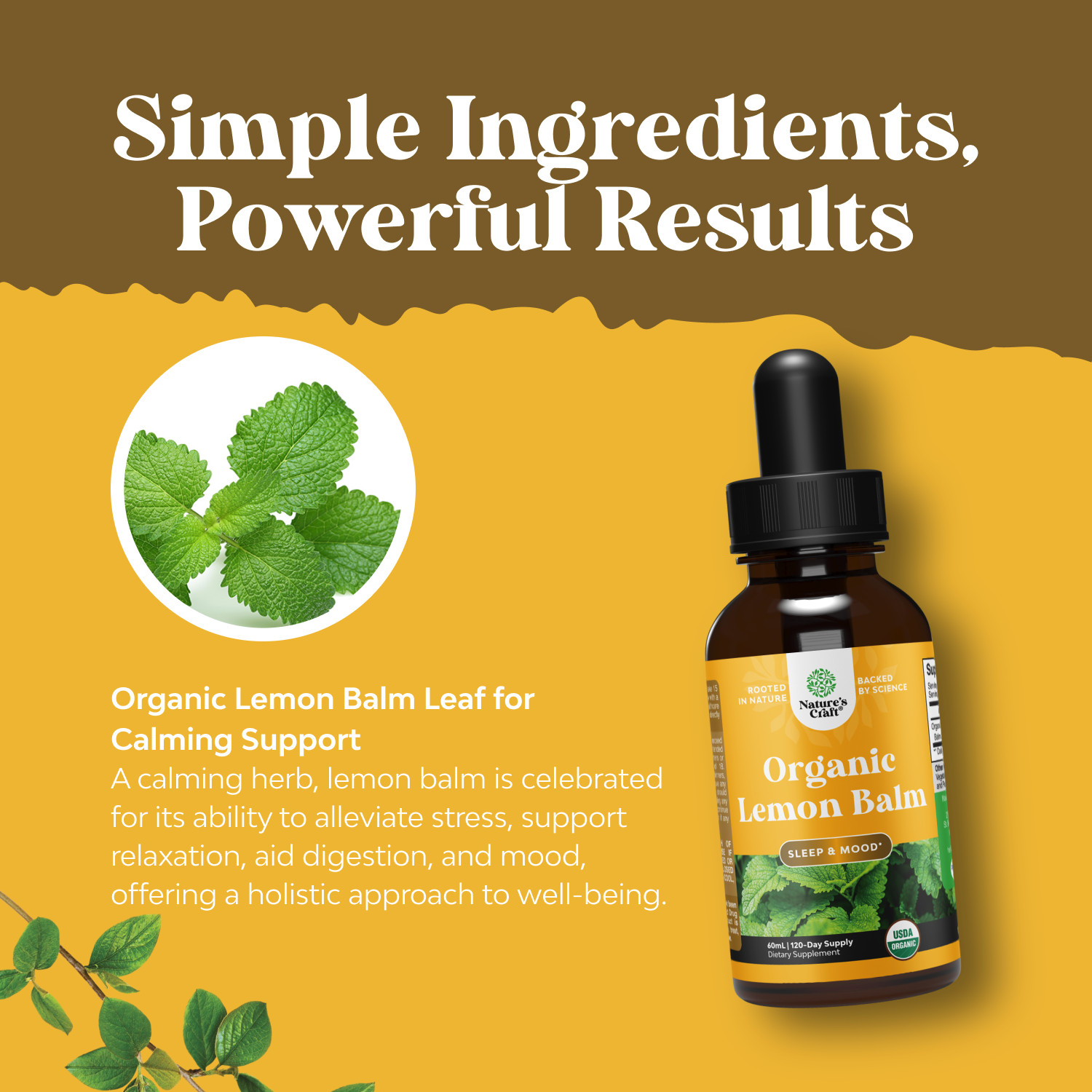 Organic Lemon Balm Extract for Immune & Mood Support Vegan Non-GMO 120 servings